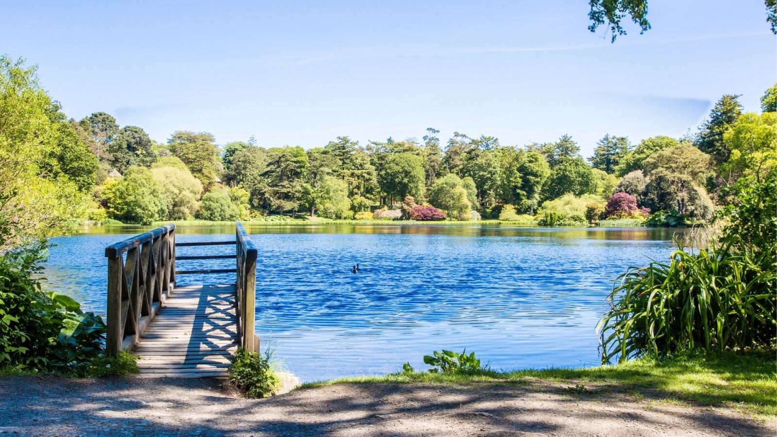 An image of the little wooden pedestrian jetty and Mount Stewart lake on a bright sunny day